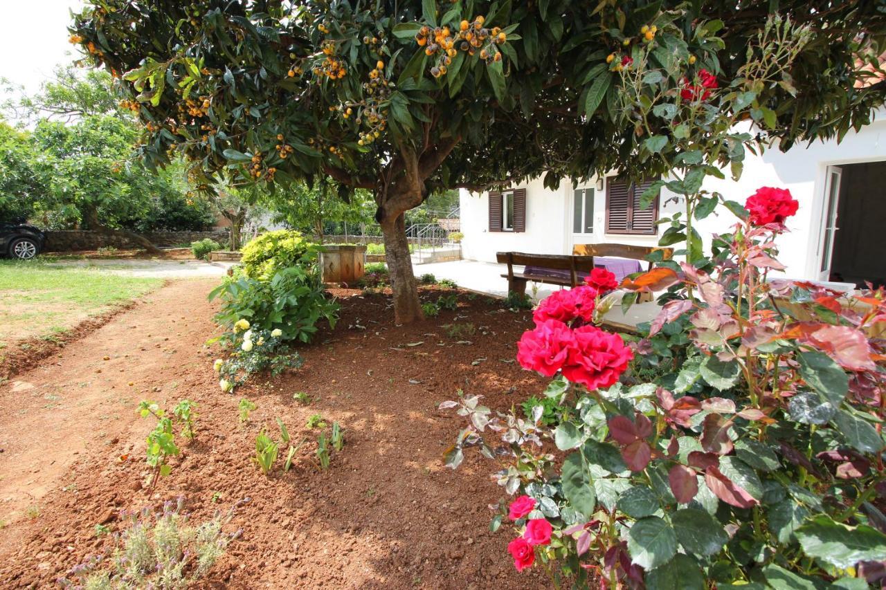 Casa Lidija Apartma *